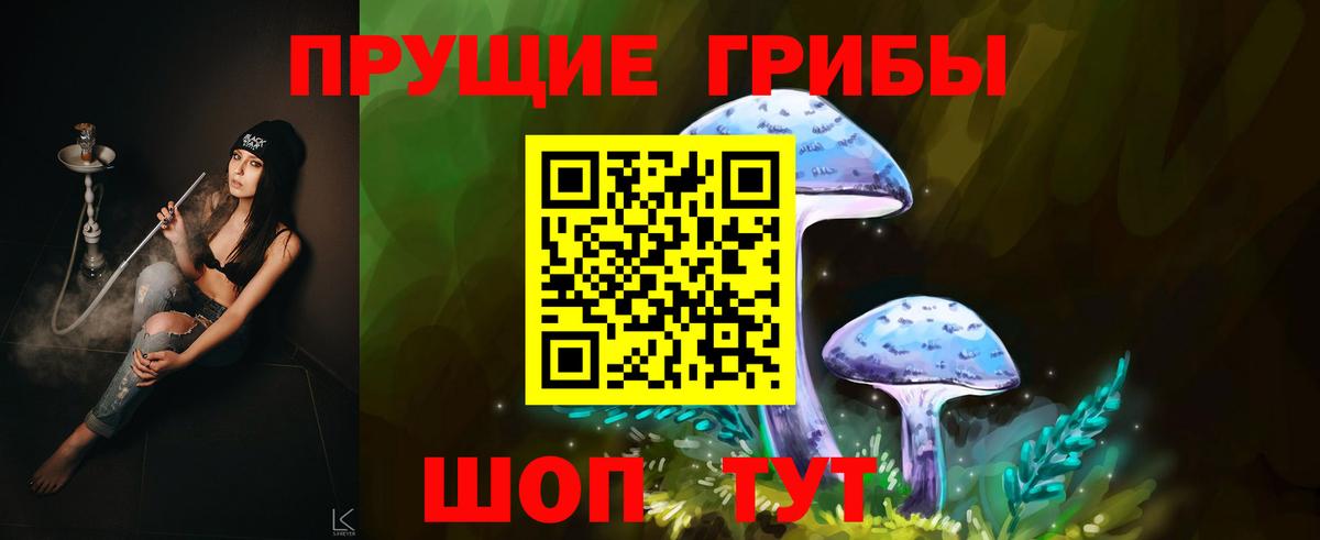 Псилоцибиновые грибы Cubensis  Вход с VPN  Советск 